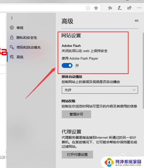 自带flash插件浏览器 Win10自带浏览器的Adobe Flash Player插件如何启动