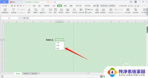 excel表格怎么设置固定选项 Excel如何创建固定输入内容的单元格