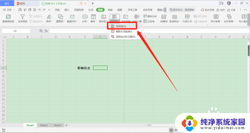 excel表格怎么设置固定选项 Excel如何创建固定输入内容的单元格