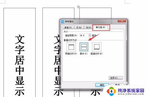 word右侧居中显示 Word文档中文字居中设置方法