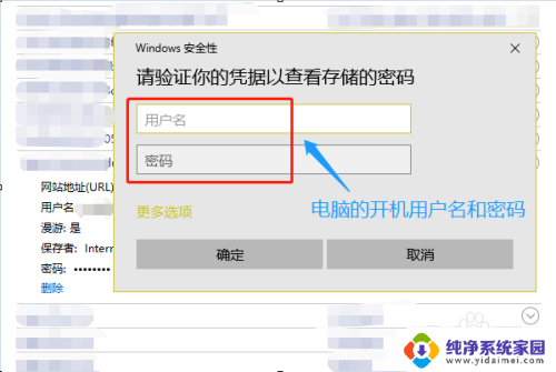 电脑网页保存的密码怎么查看 如何查看电脑浏览器存储的网站密码