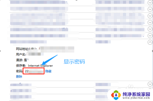 电脑网页保存的密码怎么查看 如何查看电脑浏览器存储的网站密码