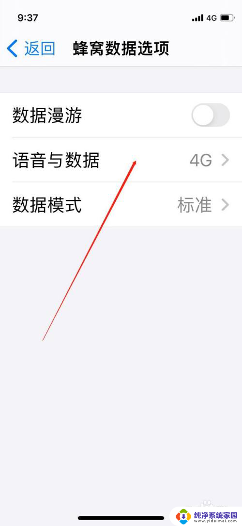 苹果11怎么开启5g网络 iPhone手机如何开启5g信号