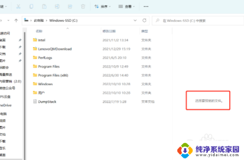 win11文件夹内容预览 Win11如何打开预览文件功能