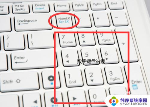 笔记本电脑怎么打开数字键盘？教你一招快速实现！
