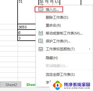 wps为什么不能插入新的工作表 wps表格无法插入额外的工作表