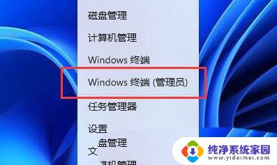 win11查看存储闪退 Win11软件闪退原因分析