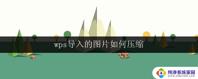 wps导入的图片如何压缩 如何在wps中压缩导入的图片