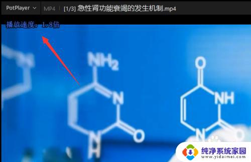 potplayer快进快捷键 Potplayer恢复正常速度快捷键