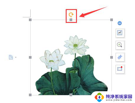 用wps打开的单张图片怎么旋转 wps怎么打开单张图片并进行旋转