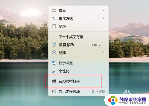 win11设置某窗最前面 Win11微软终端窗口如何置顶