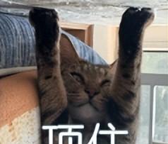 微软新规USB-C接口统一，获盛赞！