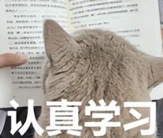 微软新规USB-C接口统一，获盛赞！