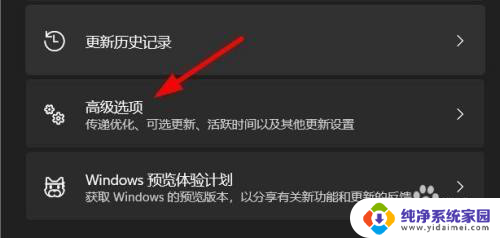 win11更新高级选项 Windows11如何设置自动更新的高级选项