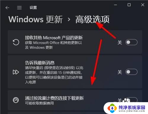 win11更新高级选项 Windows11如何设置自动更新的高级选项