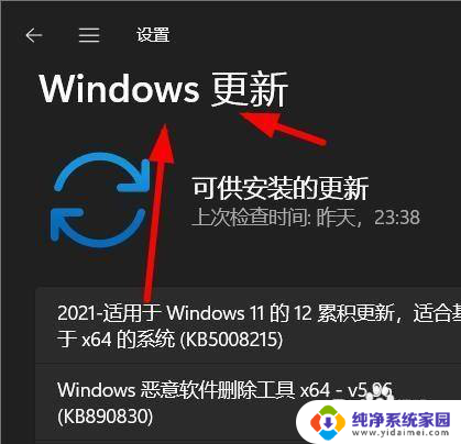 win11更新高级选项 Windows11如何设置自动更新的高级选项