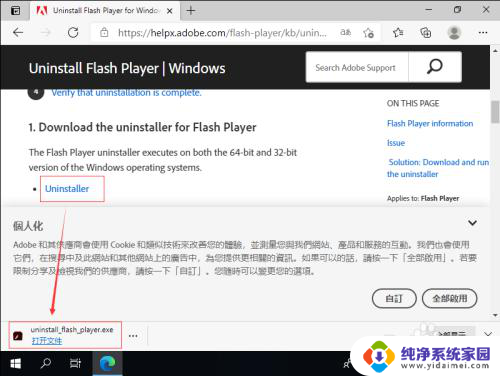 flash插件怎么删除干净 win10删除flash插件步骤