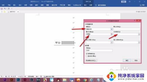 如何设置文字型窗体域选项