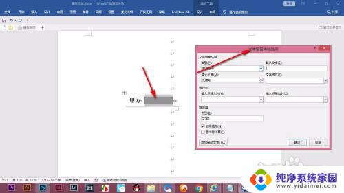 如何设置文字型窗体域选项