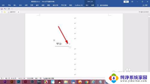 如何设置文字型窗体域选项