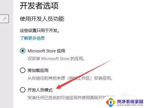 电脑开发者模式怎么打开 Win10开发者选项打开方法