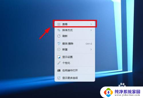 win11文件夹图标怎么不显示里面的内容 怎么在Win11系统中隐藏桌面图标