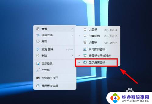 win11文件夹图标怎么不显示里面的内容 怎么在Win11系统中隐藏桌面图标