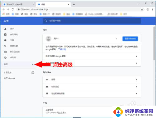 谷歌浏览器怎么开flash Chrome浏览器内置FLASH插件的关闭方法