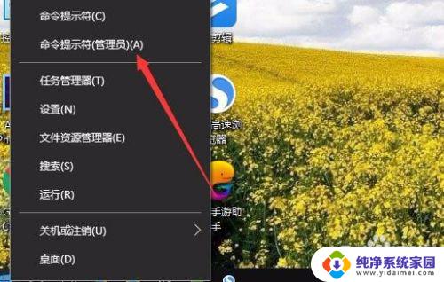 win10怎么恢复网络初始设置 如何清除Win10网络设置