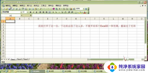 为什么打开excel会出现很多个 如何关闭Excel自动打开的多个表格