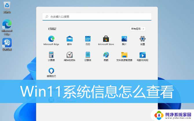 win11文件详细信息 Win11桌面生成chaxun.txt文件的步骤