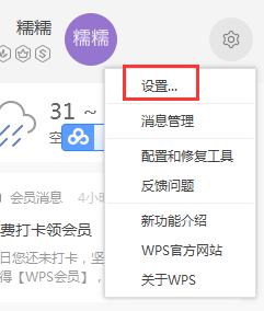 wps为什么不能设置皮肤 wps 不能设置皮肤的原因是什么