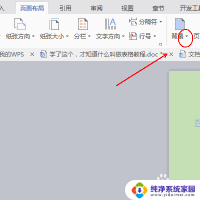 wps文件背景变成绿色 WPS文字文档的背景颜色变成绿色了怎么办