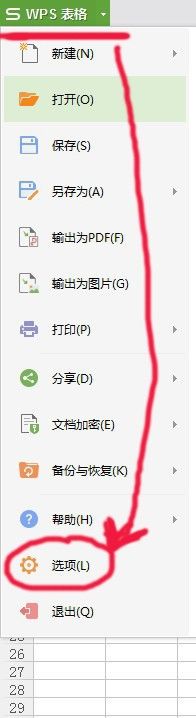 wps文件打开是空白 WPS表格打开excel格式文件后没有数据显示