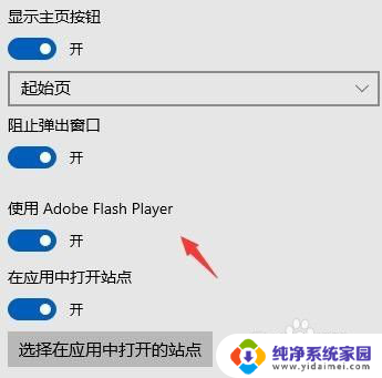 电脑自带flash的浏览器 Win10自带浏览器如何启用Adobe Flash