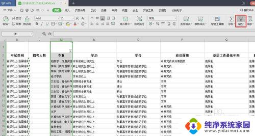 wps设置筛选选项 WPS怎样设置自定义筛选条件