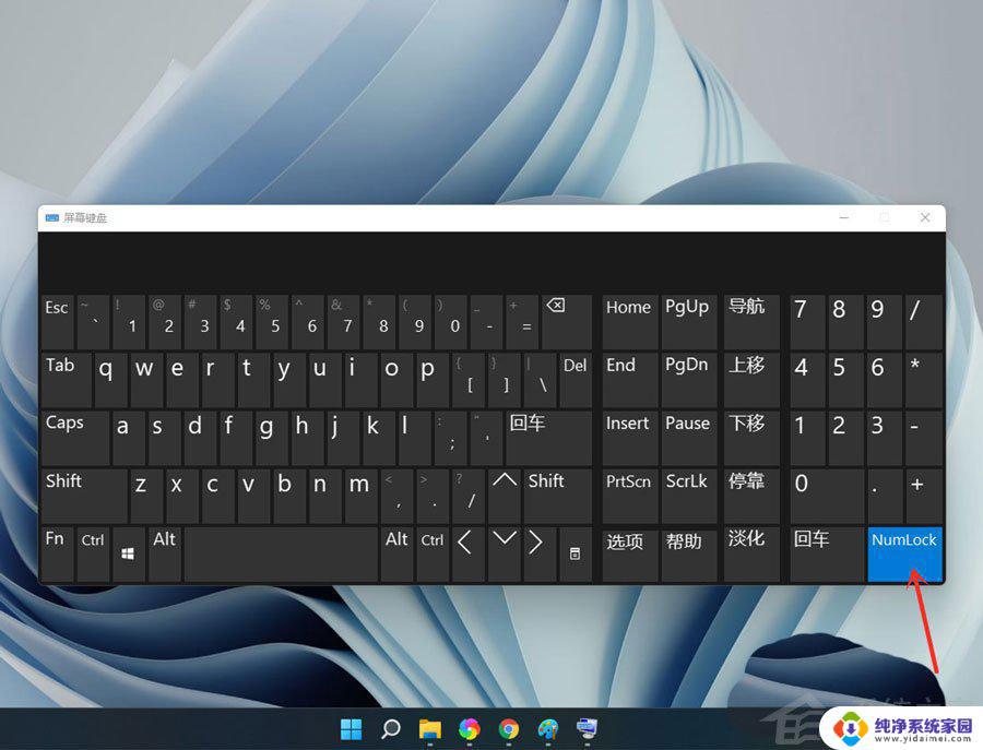 Win11数字键盘：如何在Windows 11中启用/禁用数字键盘？