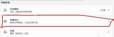 win11 delivery optimization Win11传递优化功能关闭方法