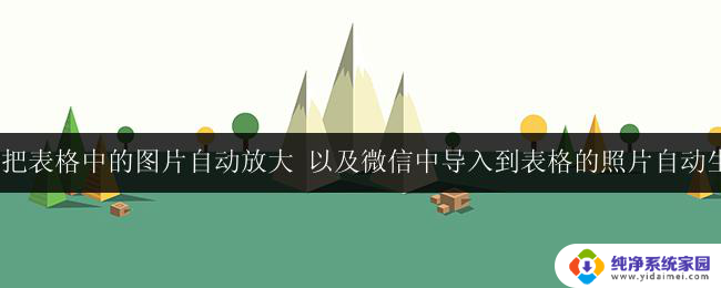 怎么让wps表格中的图片自动缩放