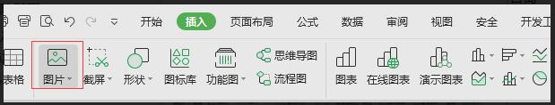 怎么让wps表格中的图片自动缩放