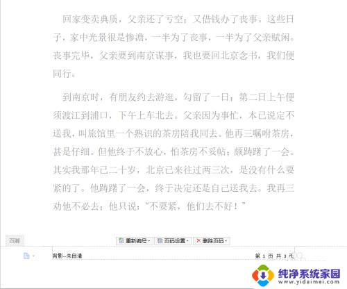 word页脚插入页码 Word文档中如何自定义页脚和页码