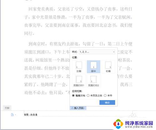 word页脚插入页码 Word文档中如何自定义页脚和页码