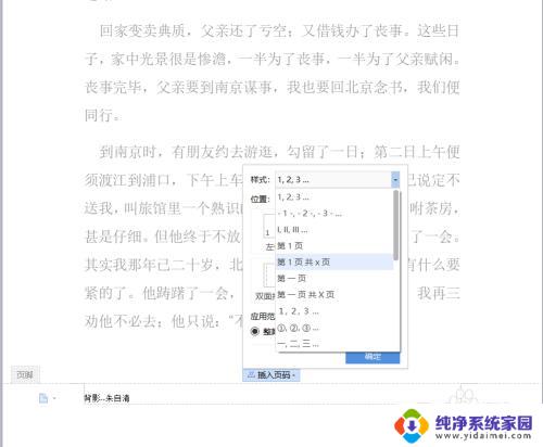 word页脚插入页码 Word文档中如何自定义页脚和页码