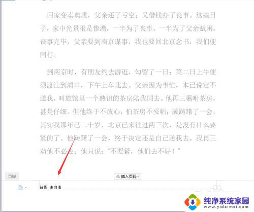 word页脚插入页码 Word文档中如何自定义页脚和页码