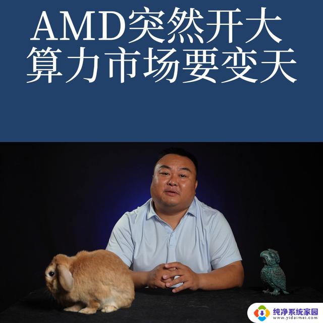 AMD突然开大 算力市场要变天：挑战NVIDIA霸主地位