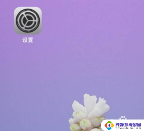 闹钟铃声声音大小怎么调 iPhone手机调整闹钟音量的方法