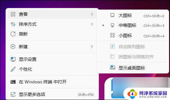 win11隐藏的图标菜单 Windows11如何隐藏桌面图标