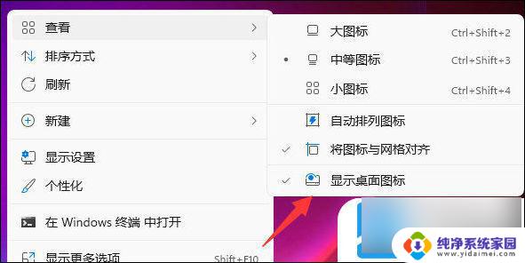 win11隐藏的图标菜单 Windows11如何隐藏桌面图标