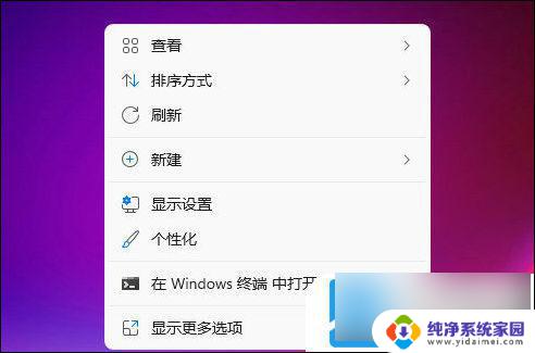 win11隐藏的图标菜单 Windows11如何隐藏桌面图标