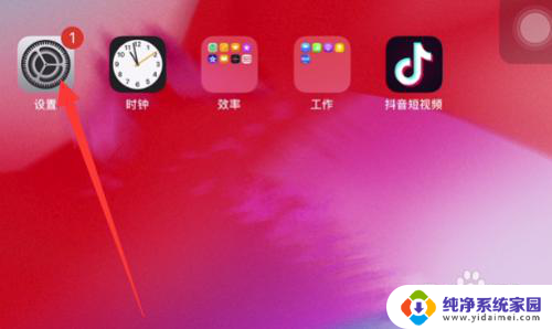 ipad屏幕出现彩色条纹怎么解决 iPad屏幕出现竖条纹怎么处理